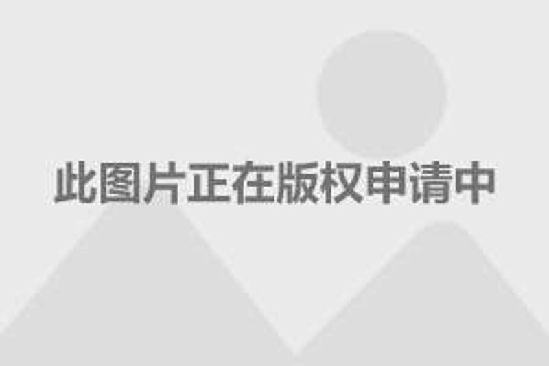 上海房价选购指南:如何在高楼林立中找到理想居所